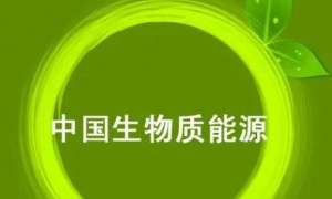 第16届中国农村清洁取暖与生物质供热产业博览会_新能源网