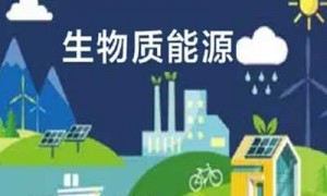 2022第十届亚太国际生物质能展_新能源网