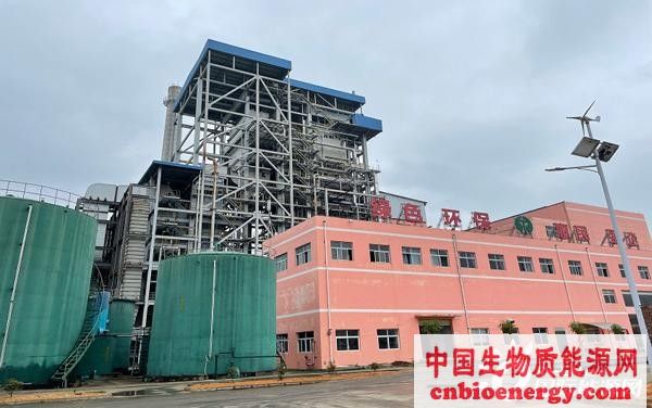 广西农投发电公司生物质发电项目并网发电