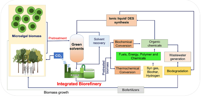 使用绿色溶剂解构微藻生物质：挑战与未来机遇