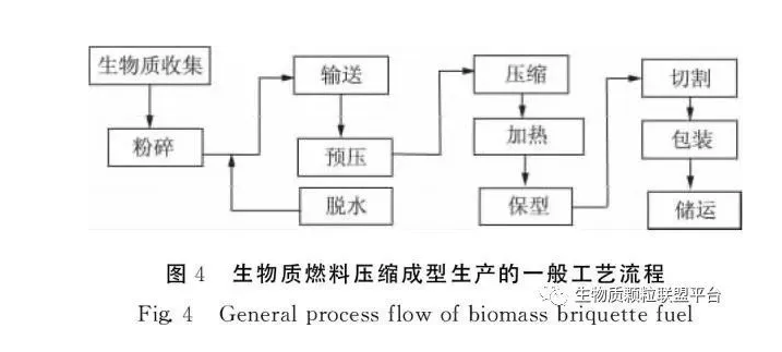 生物质成型燃料在我国的发展与应用