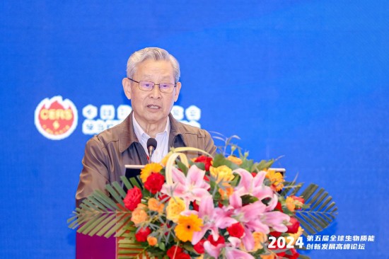 装机量连续6年世界第一！生物质的未来竟然在非电力应用！