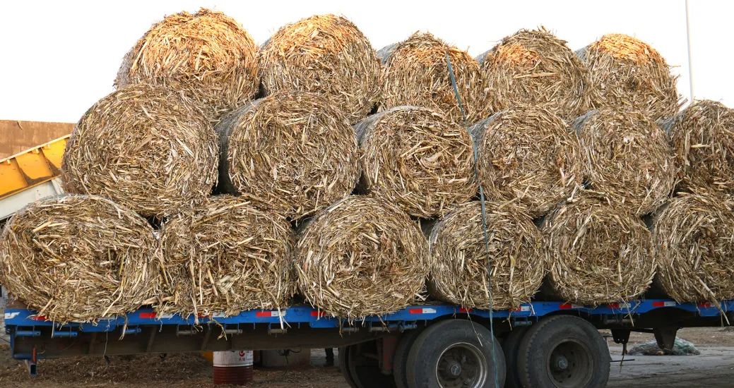 双碳硬指标！未来三年，生物质燃料成水泥厂、煤电厂的必抢“新煤炭”！