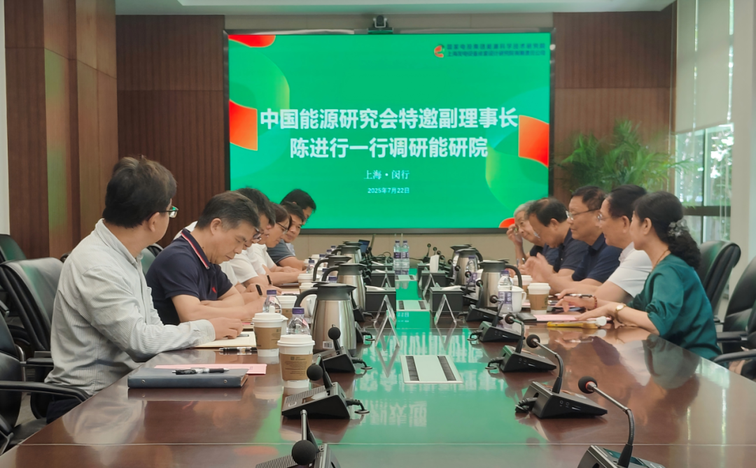 谈及生物质技术！中国能源研究会特邀副理事长陈进行一行调研能研院
